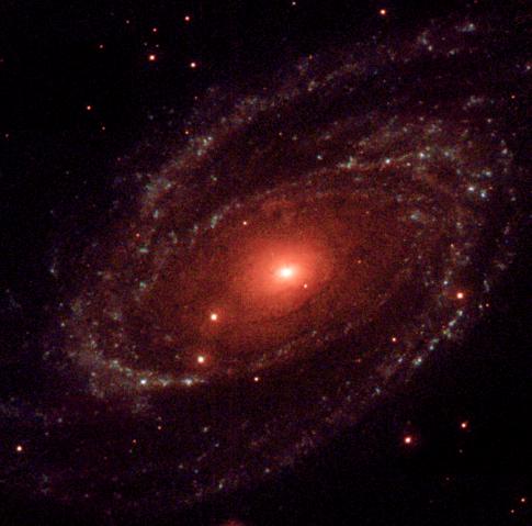 M81