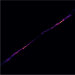 Pulsar