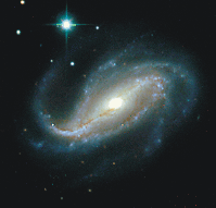 NGC 613 (Foto: Ohio State University)